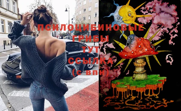 МДМА Медвежьегорск