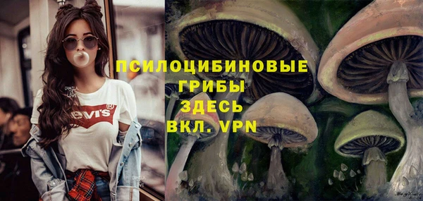 МДМА Медвежьегорск