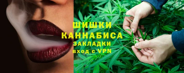МДПВ Мегион